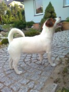 Zdj¦Öcie2179